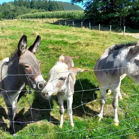 La Petite Ferme